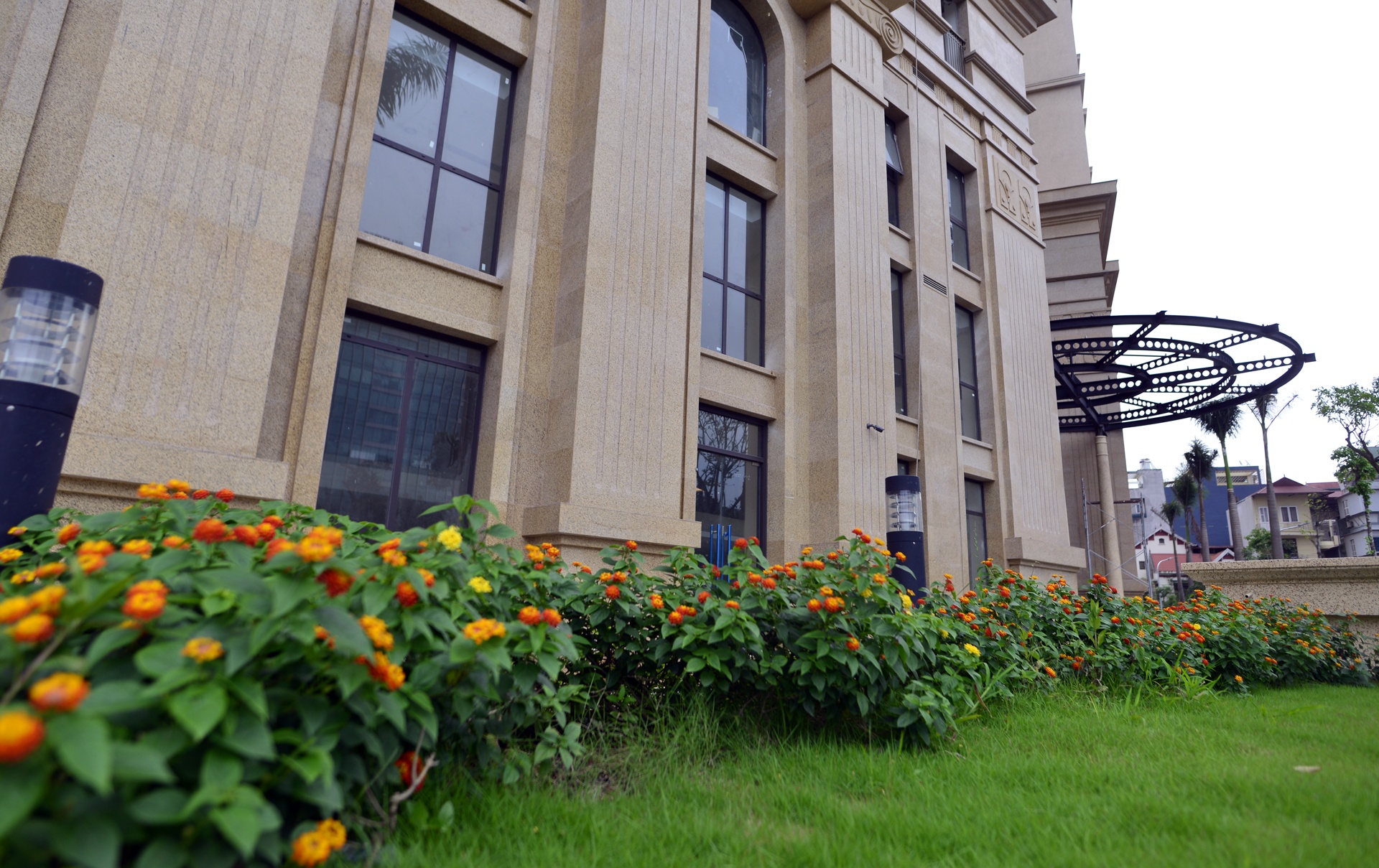 tan hoang minh anh 5