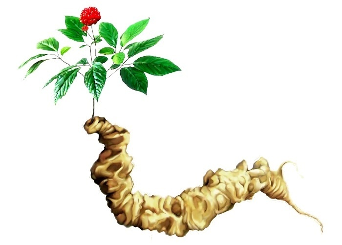 danh muc san pham quoc gia anh 1