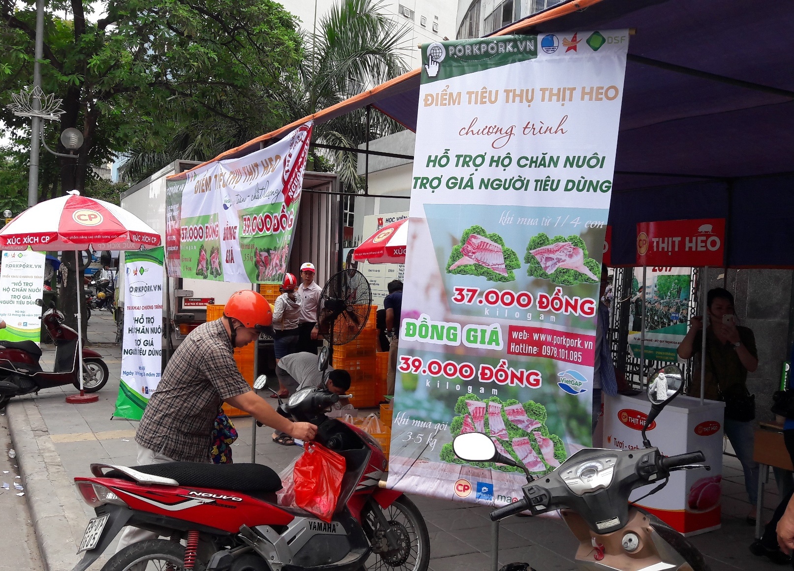 giai cuu thit heo anh 1