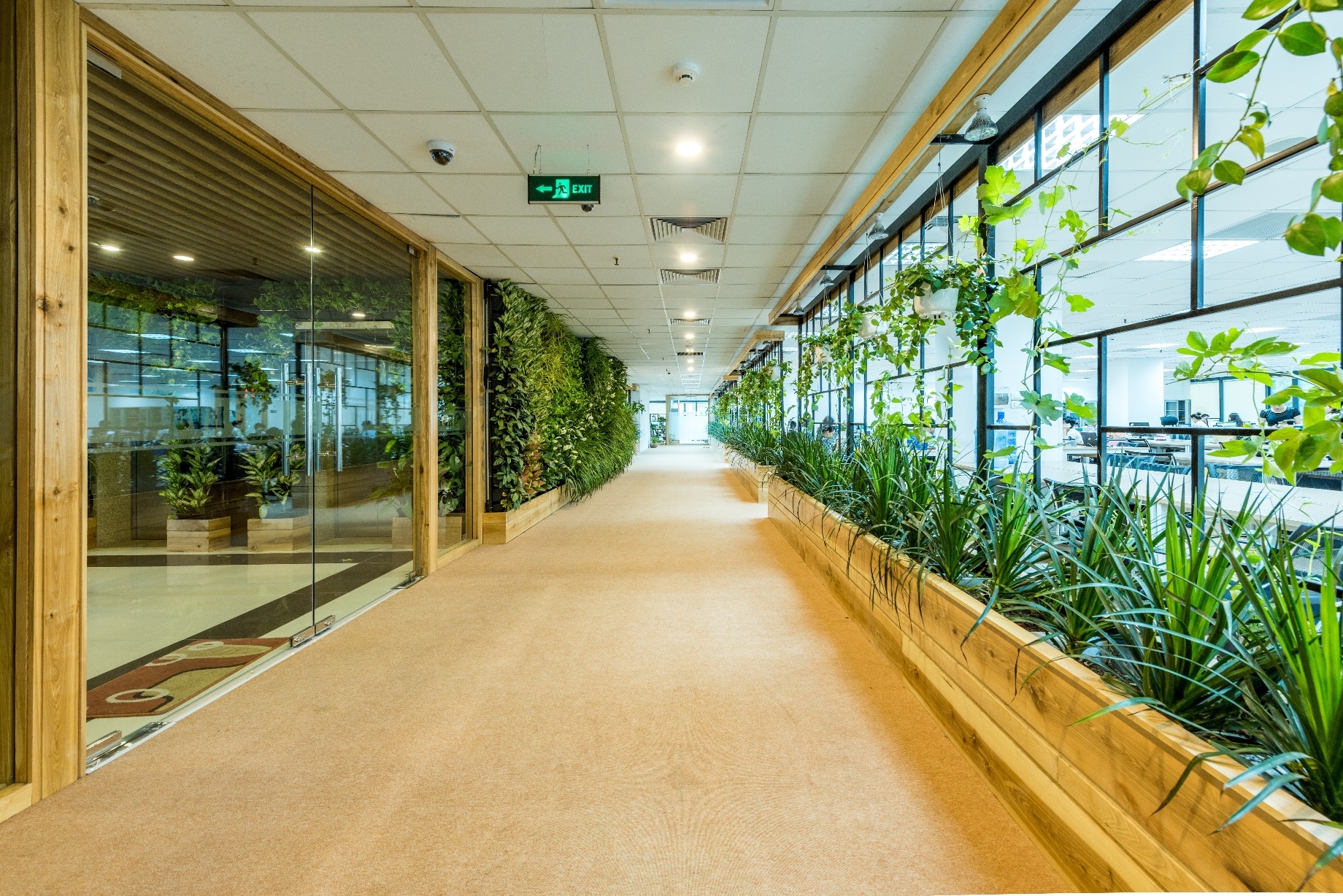 van phong xanh co kien truc dep anh 2