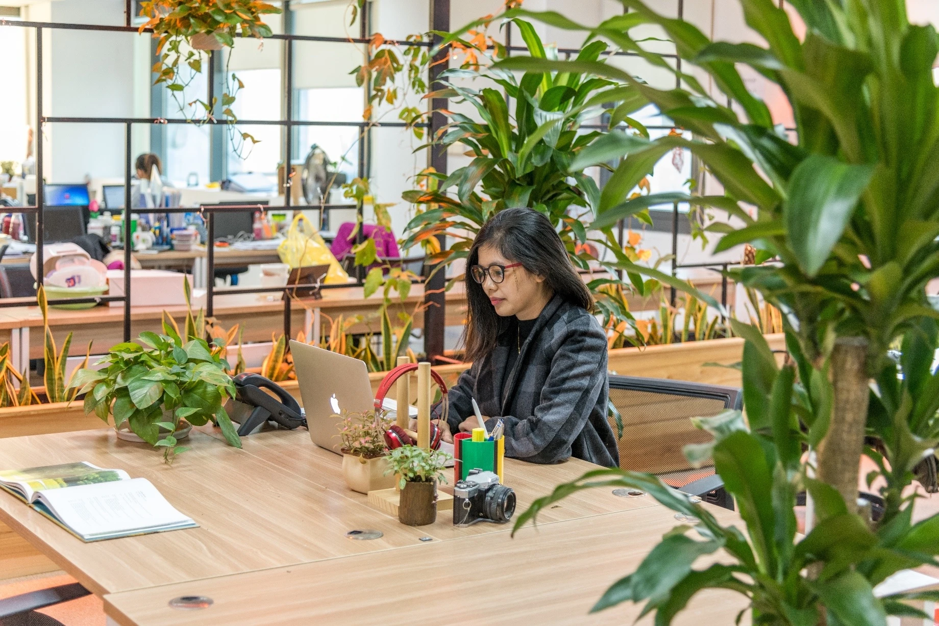 van phong xanh co kien truc dep anh 6