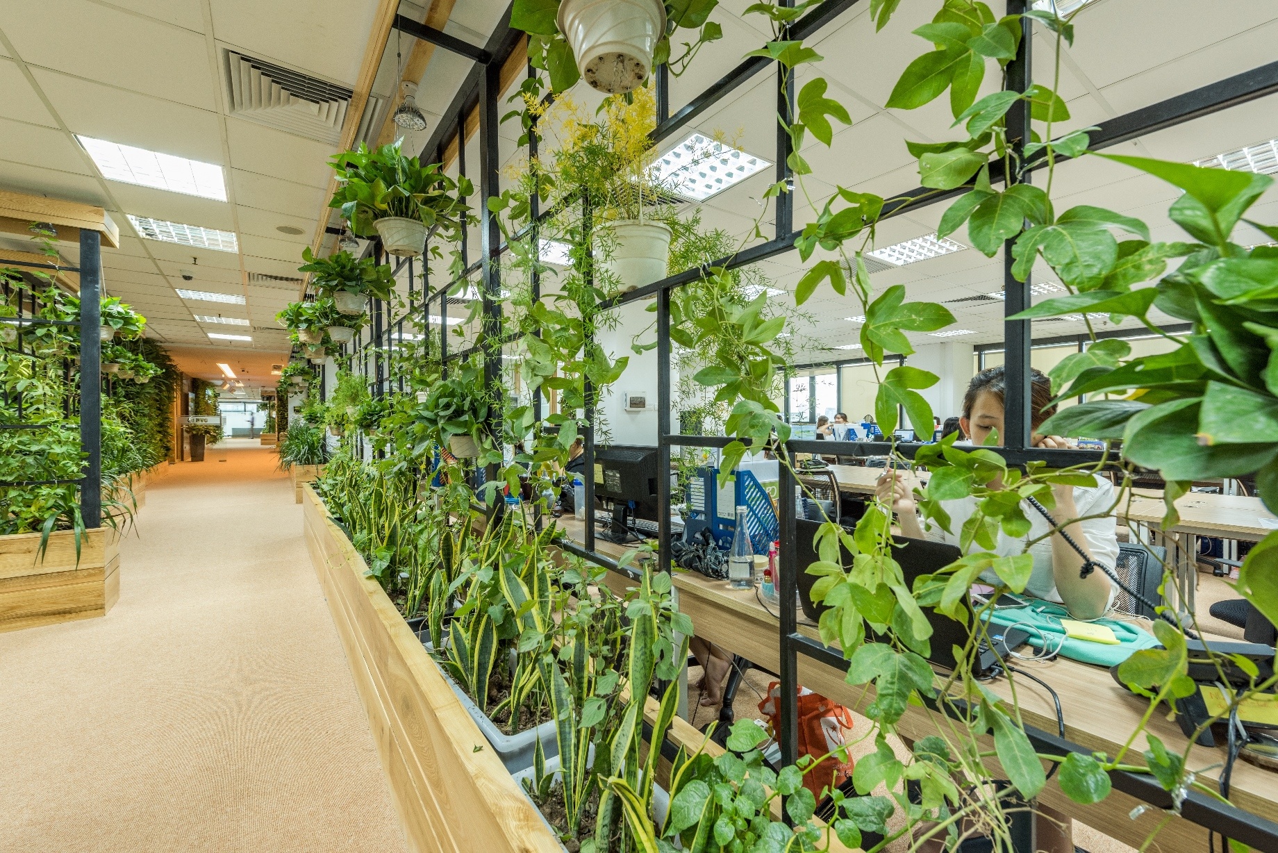 van phong xanh co kien truc dep anh 4