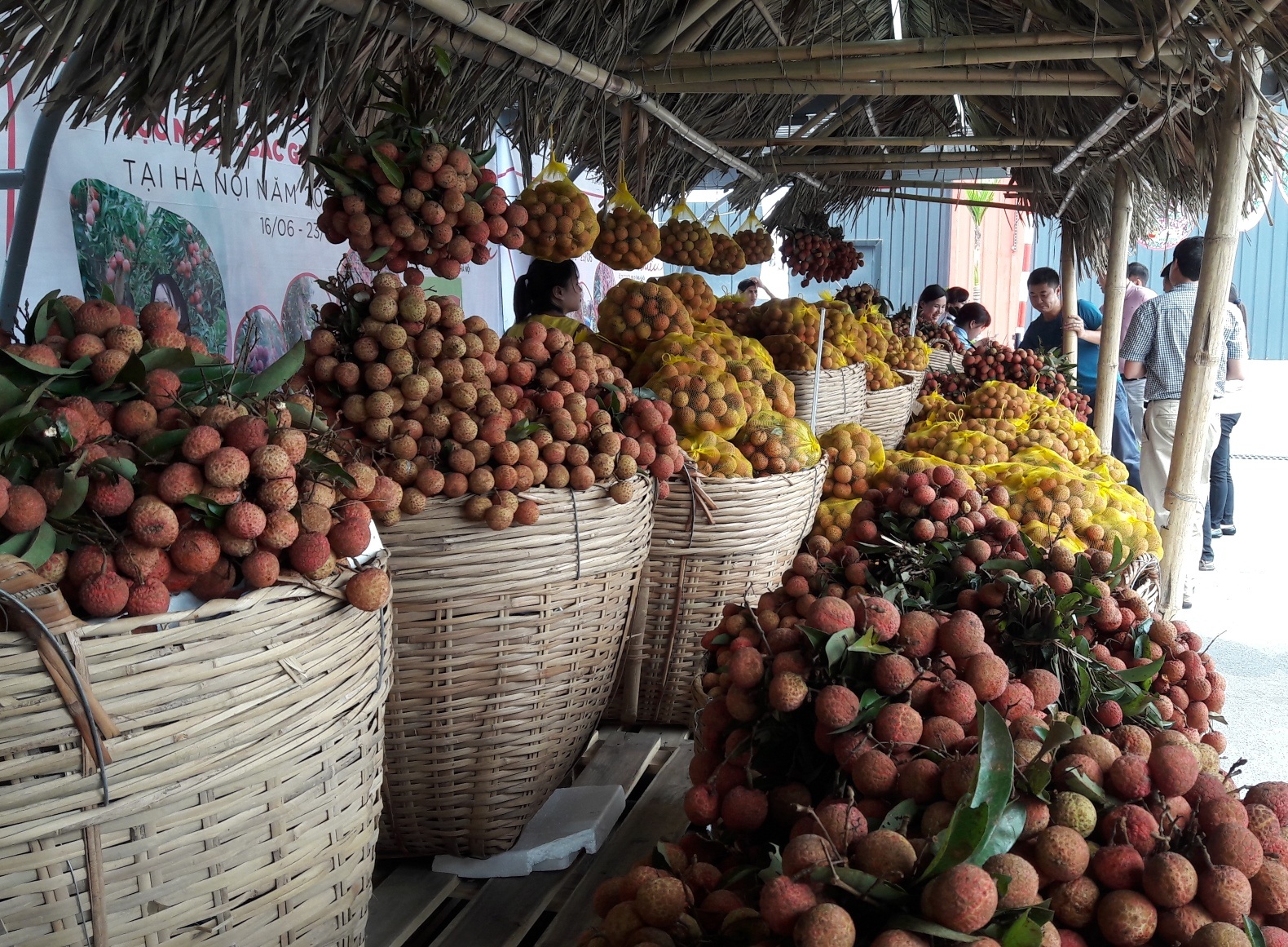 Vai thieu Luc Ngan duoc quang ba suot tuan o Ha Noi hinh anh