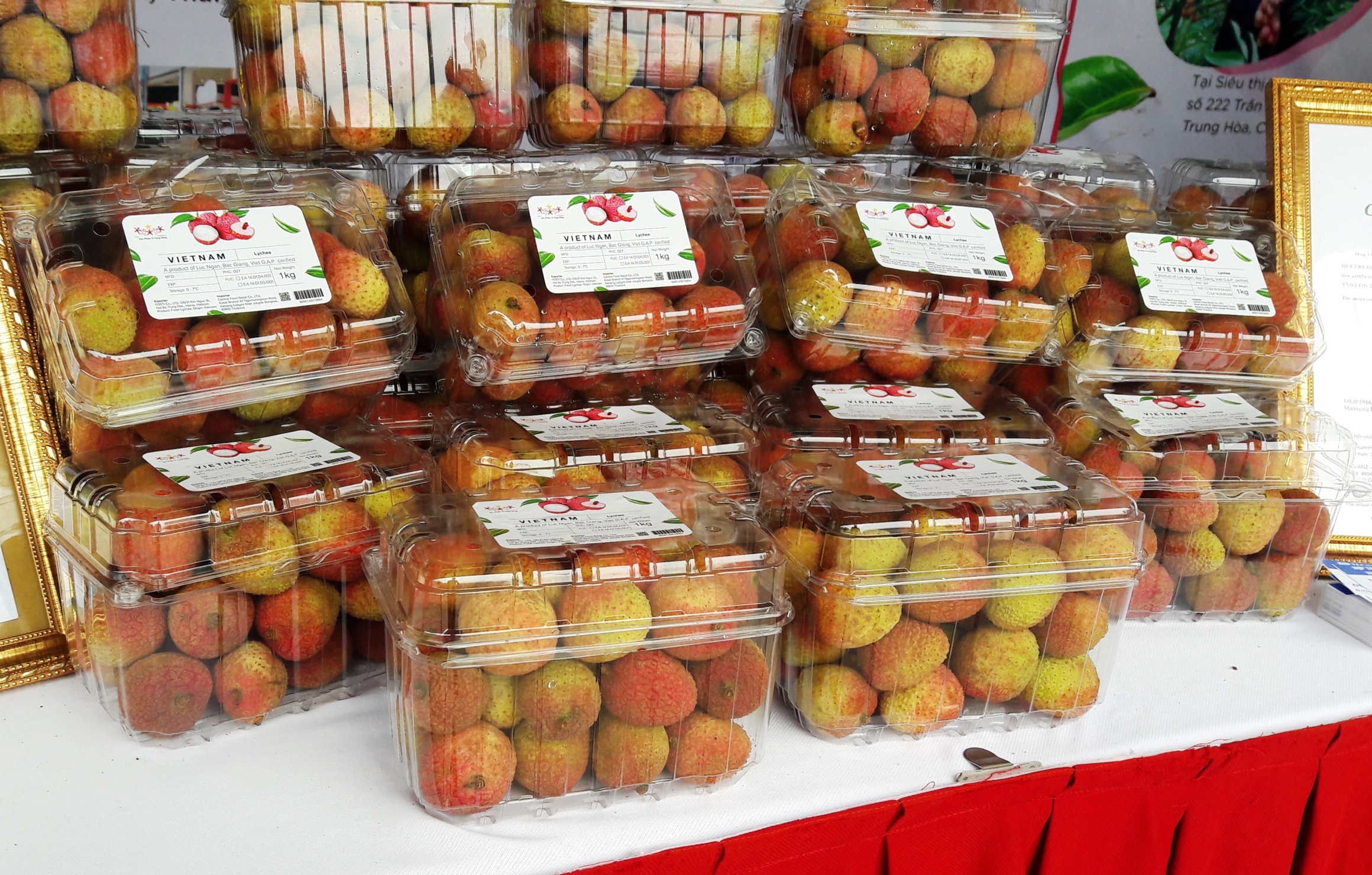 tuan le vai thieu bac giang luc ngan anh 1