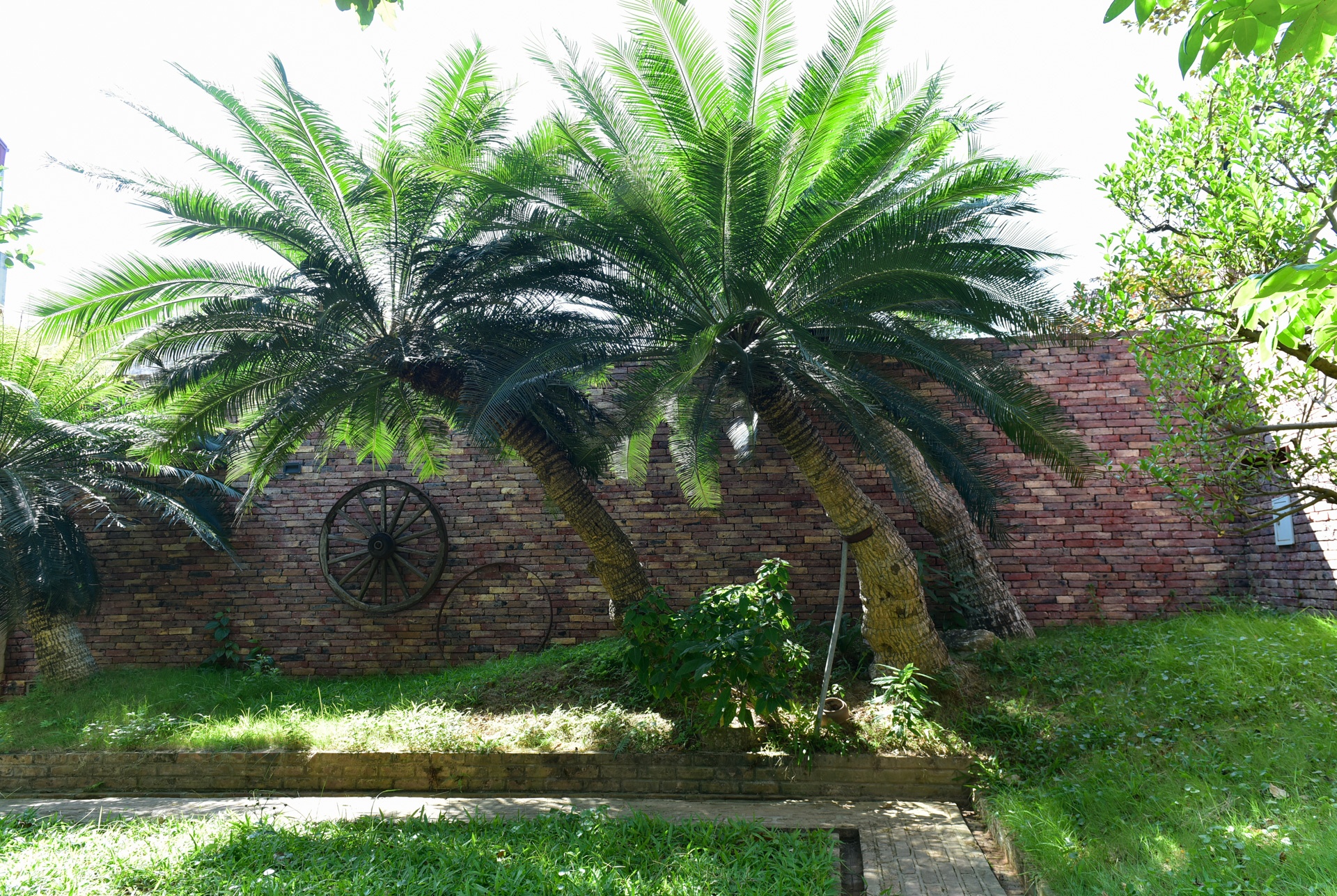 nha go 50 ty o Bac Ninh anh 8