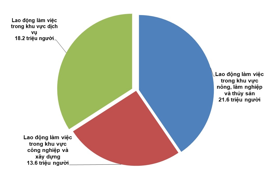 ty le that nghiep anh 1