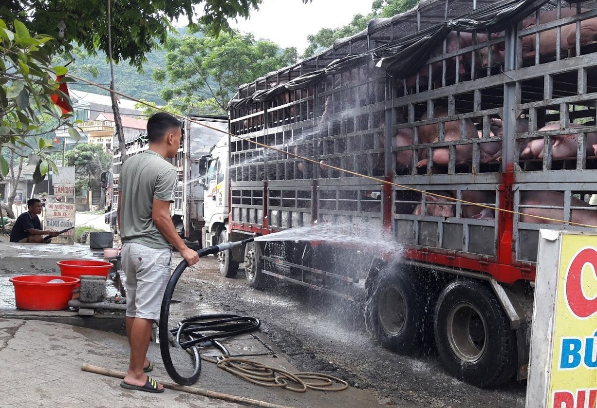 Thit heo moi ngay tang mot gia, Bo Cong Thuong noi gi? hinh anh