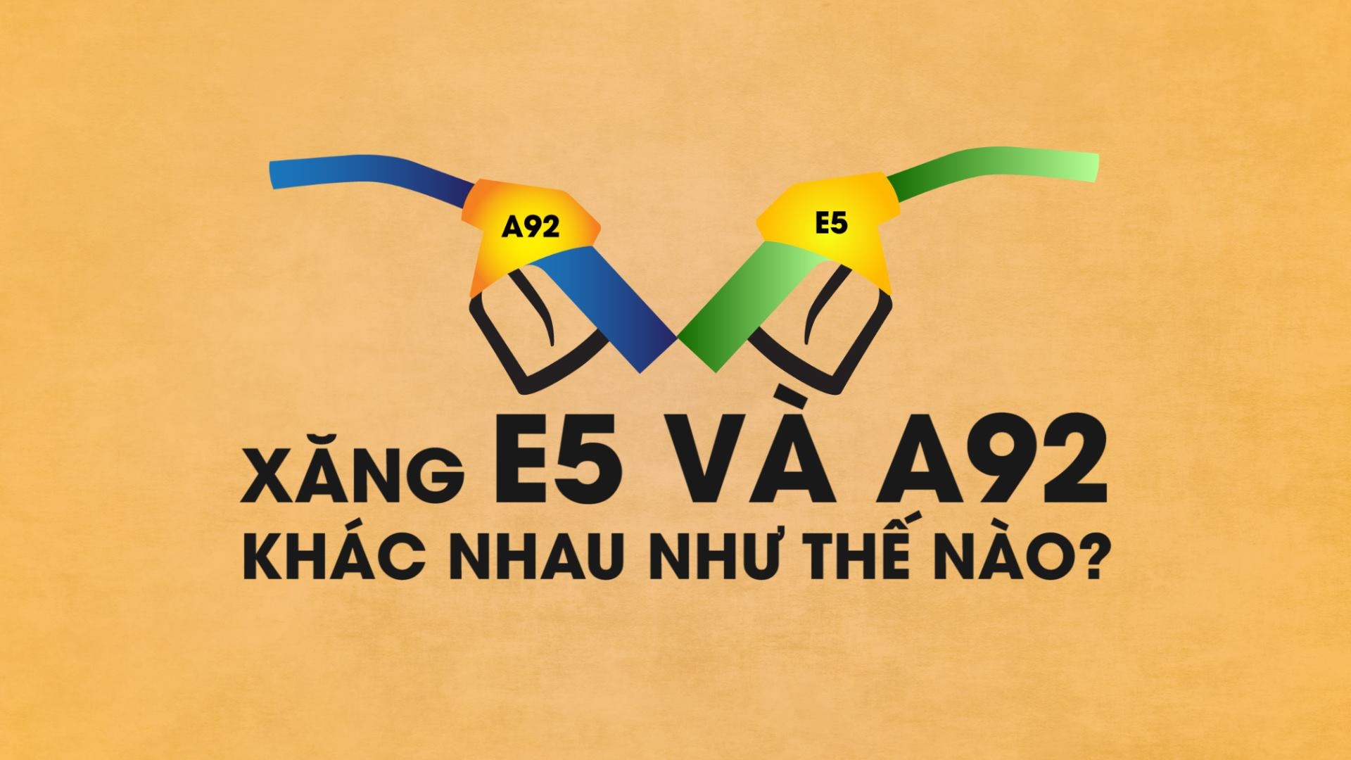 Xang E5 va A92 khac nhau nhu the nao? hinh anh