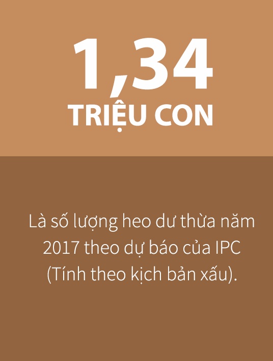 tinh hinh thi truong thit heo viet nam anh 3