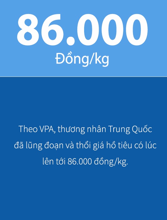 thương nhân trung quốc lũng đoạn thị trường hồ tiêu ảnh 2 thuong nhan trung quoc lung doan thi truong ho tieu anh 2