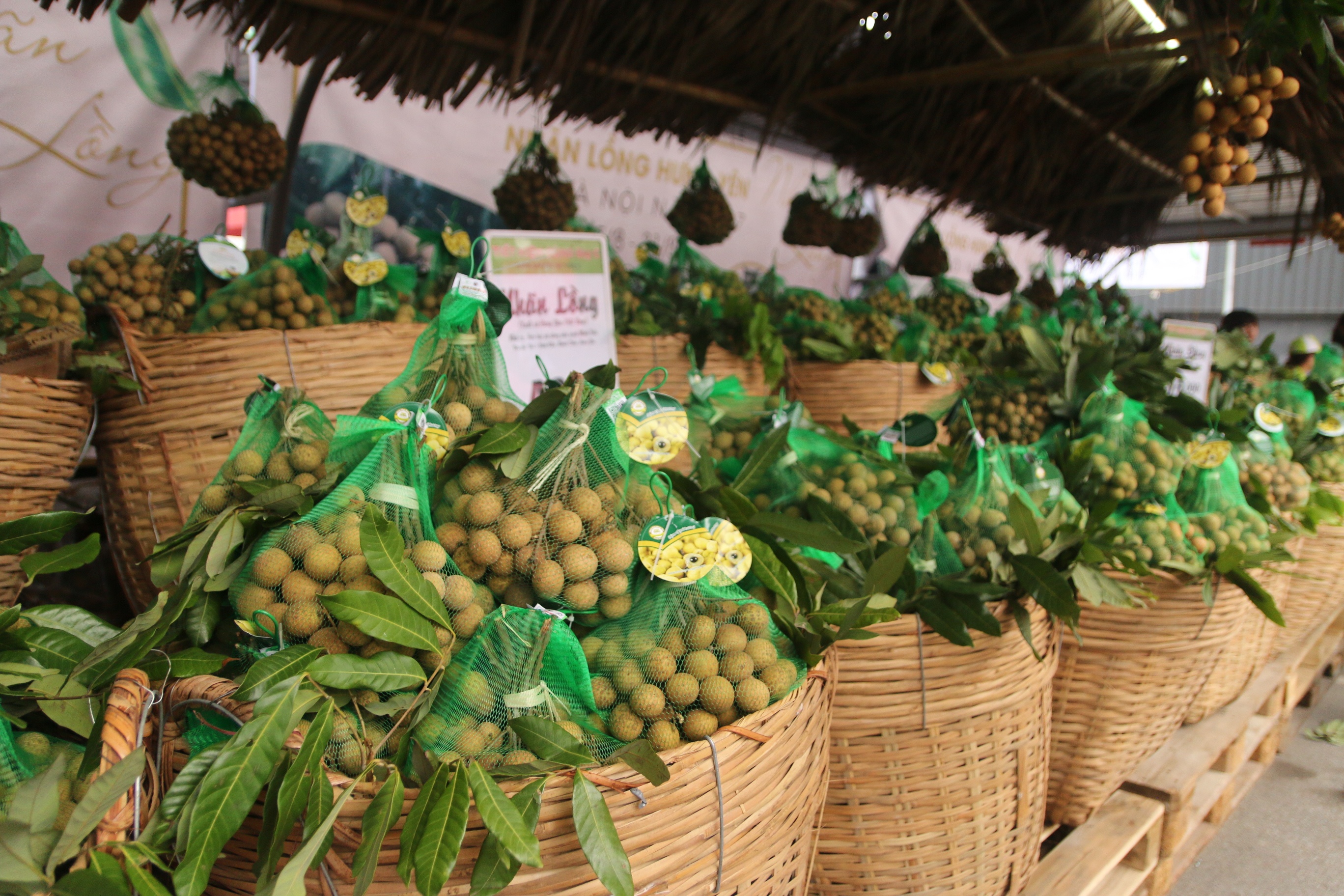 tuan le nhan long hung yen anh 1