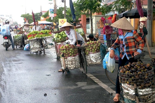 Ha Noi cam ban trai cay via he hinh anh