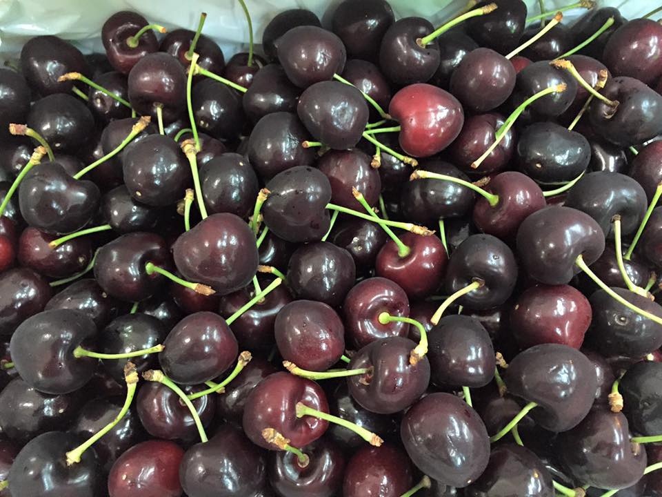 cherry úc ở việt nam, cherry vào việt nam ảnh 1 cherry uc o viet nam, cherry vao viet nam anh 1
