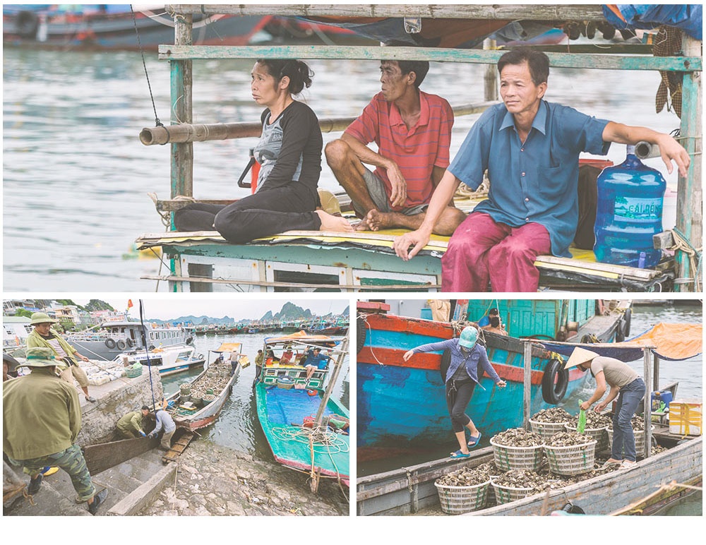 đặc khu kinh tế vân đồn ảnh 6 dac khu kinh te van don anh 6