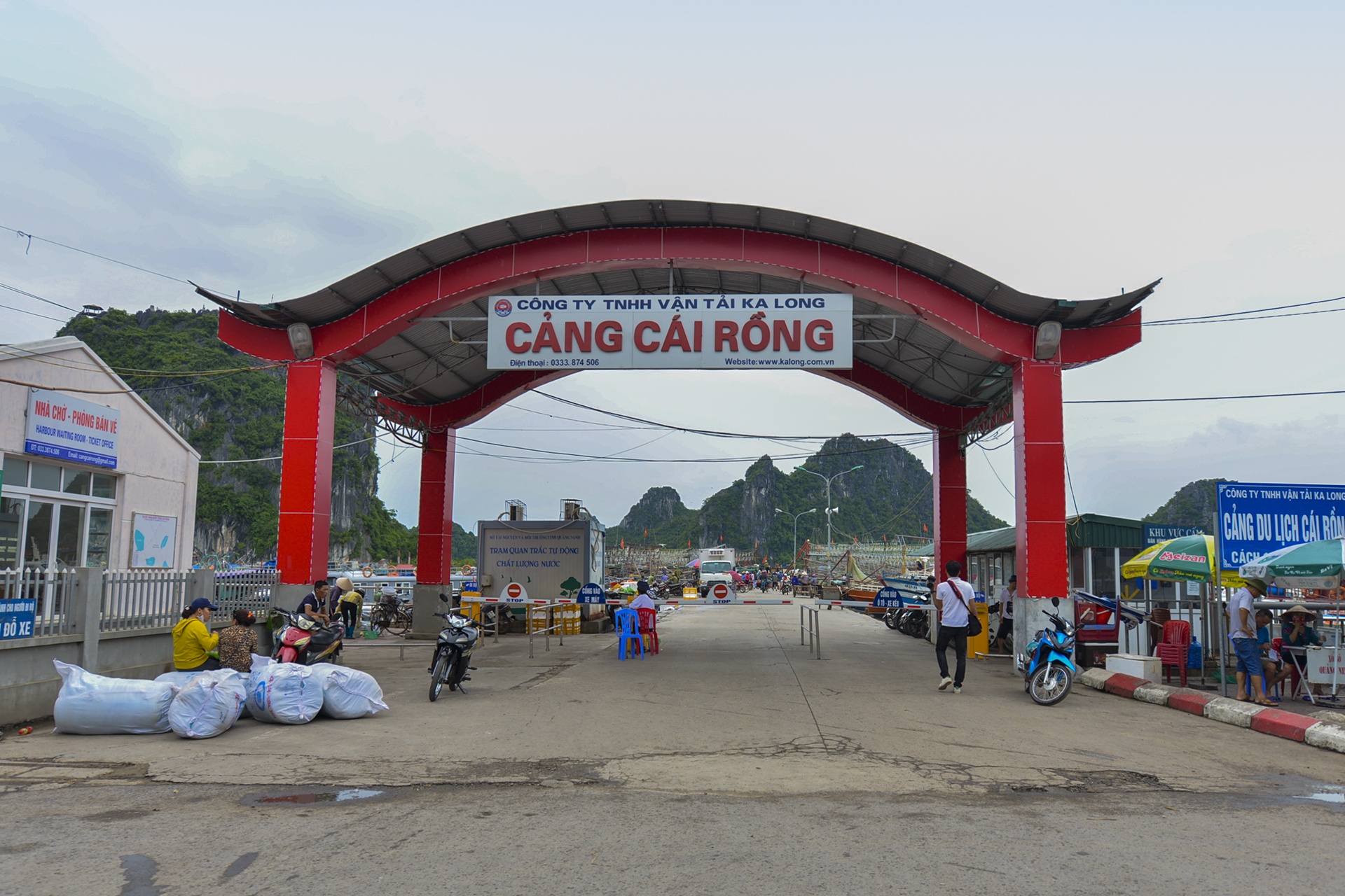 cang cai rong anh 2