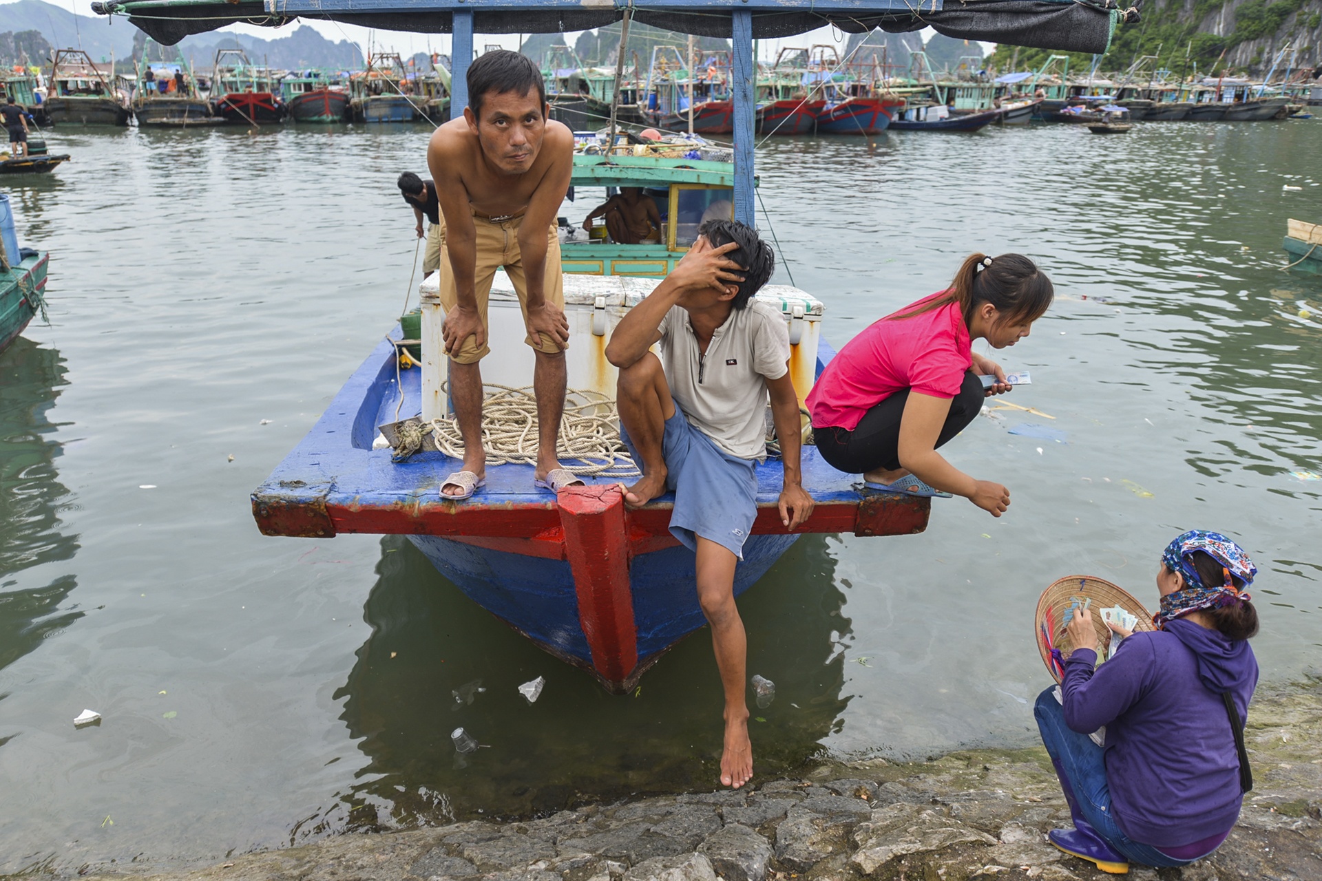 cang cai rong anh 12