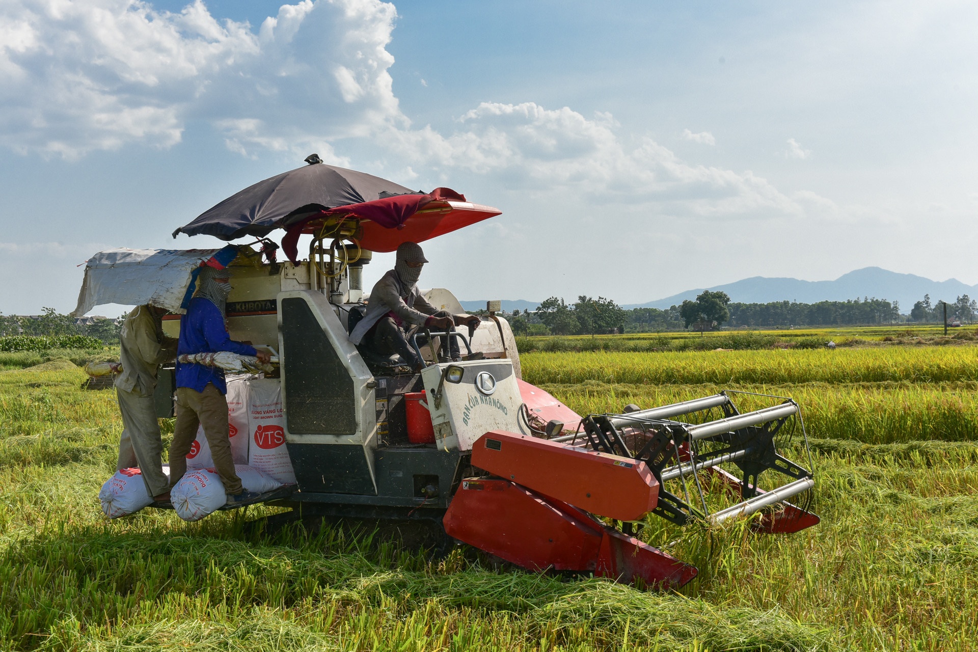 kinh tế nông thôn việt nam ảnh 2 kinh te nong thon viet nam anh 2