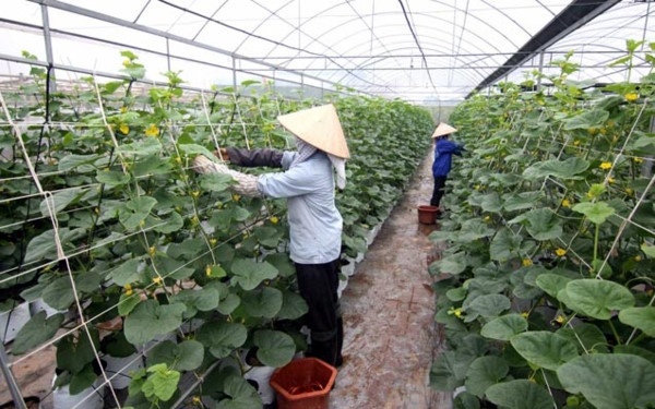 'Lam nong nghiep 4.0, chung ta bot noi di, can lam nhieu hon' hinh anh