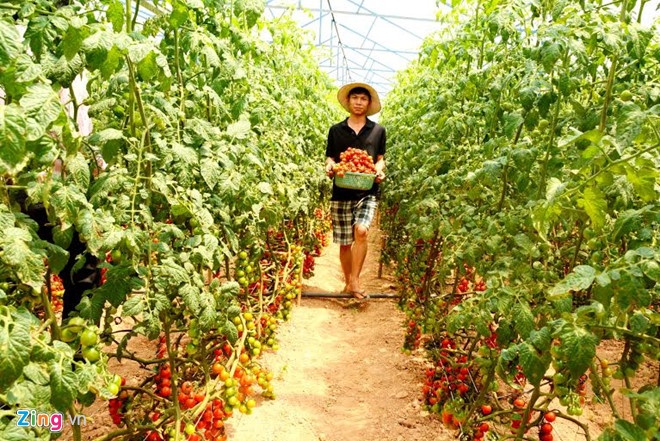 nong nghiep cong nghe cao anh 1