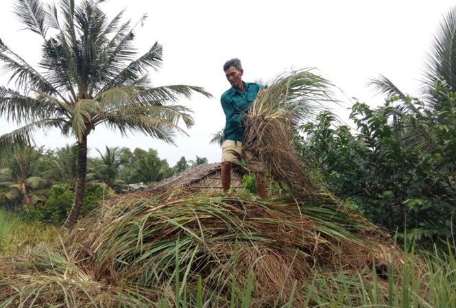 nguoi trong sa dieu dung anh 1