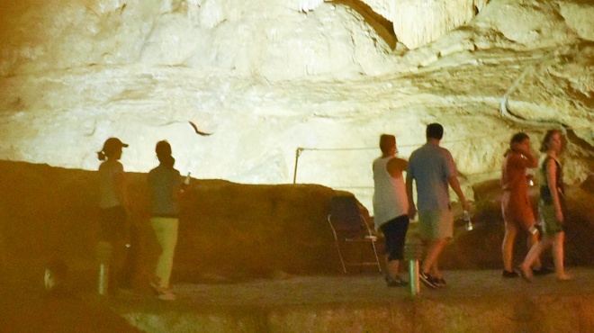 COO facebook len thuyen tham vinh ha long anh 4