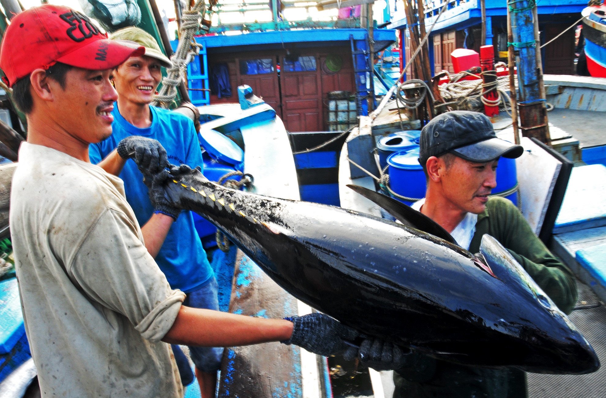 Pho thu tuong mong EU som go bo 'the vang' cho thuy san Viet Nam hinh anh