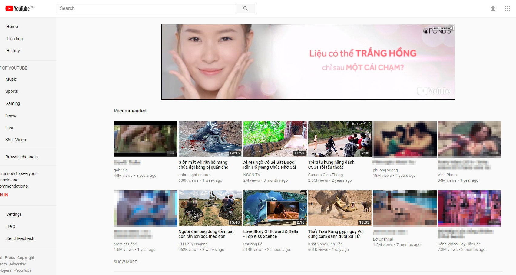 youtube quang cao anh 2