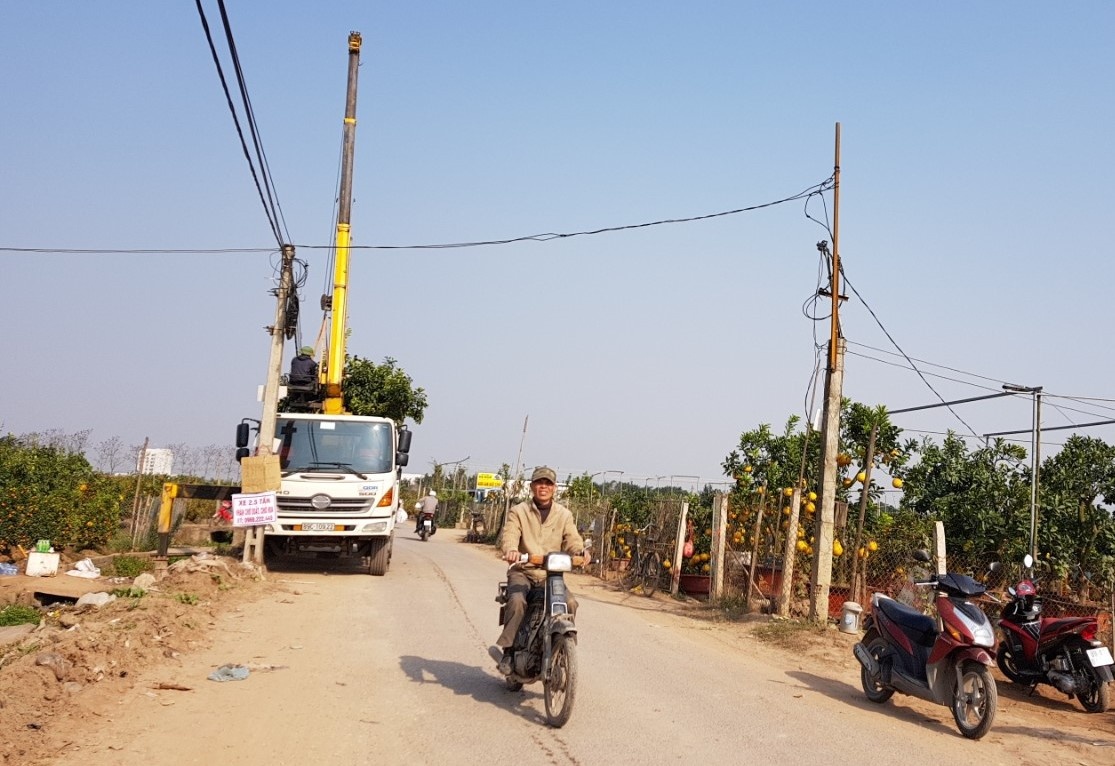 Xe tai, can cau do ve Van Giang nhap cay canh Tet hinh anh