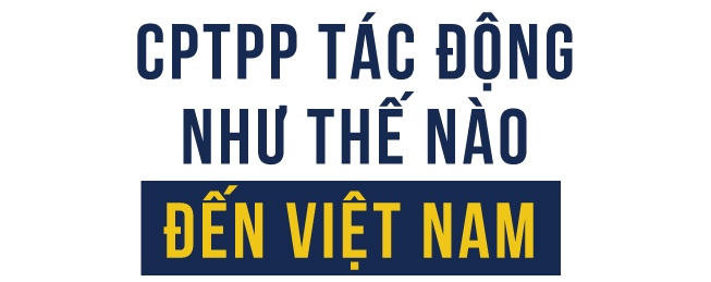 co hoi va thach thuc tu hiep dinh CPTPP anh 3