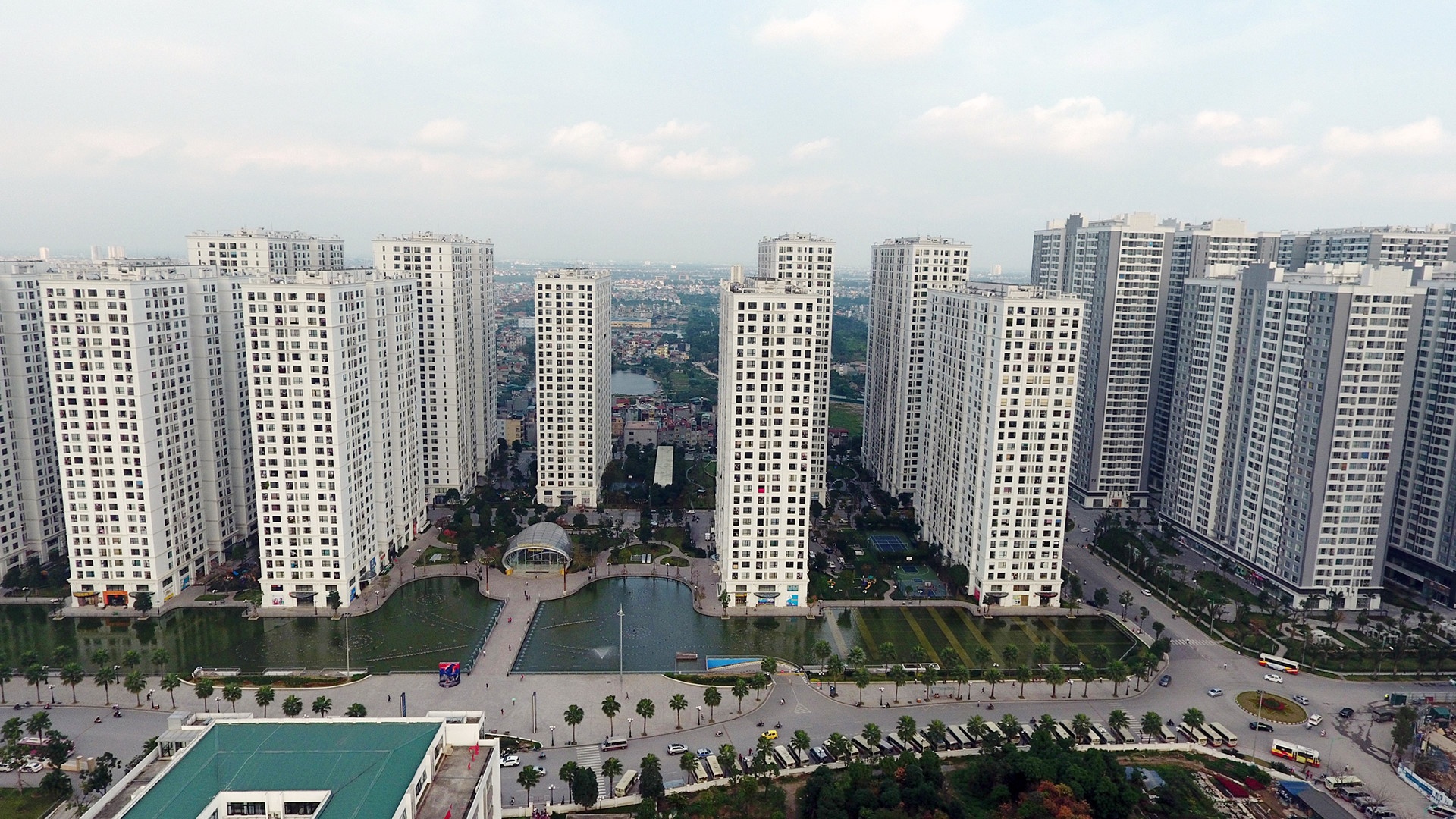 nhung ong lon nao dang gam nhieu dat vang nhat anh 1