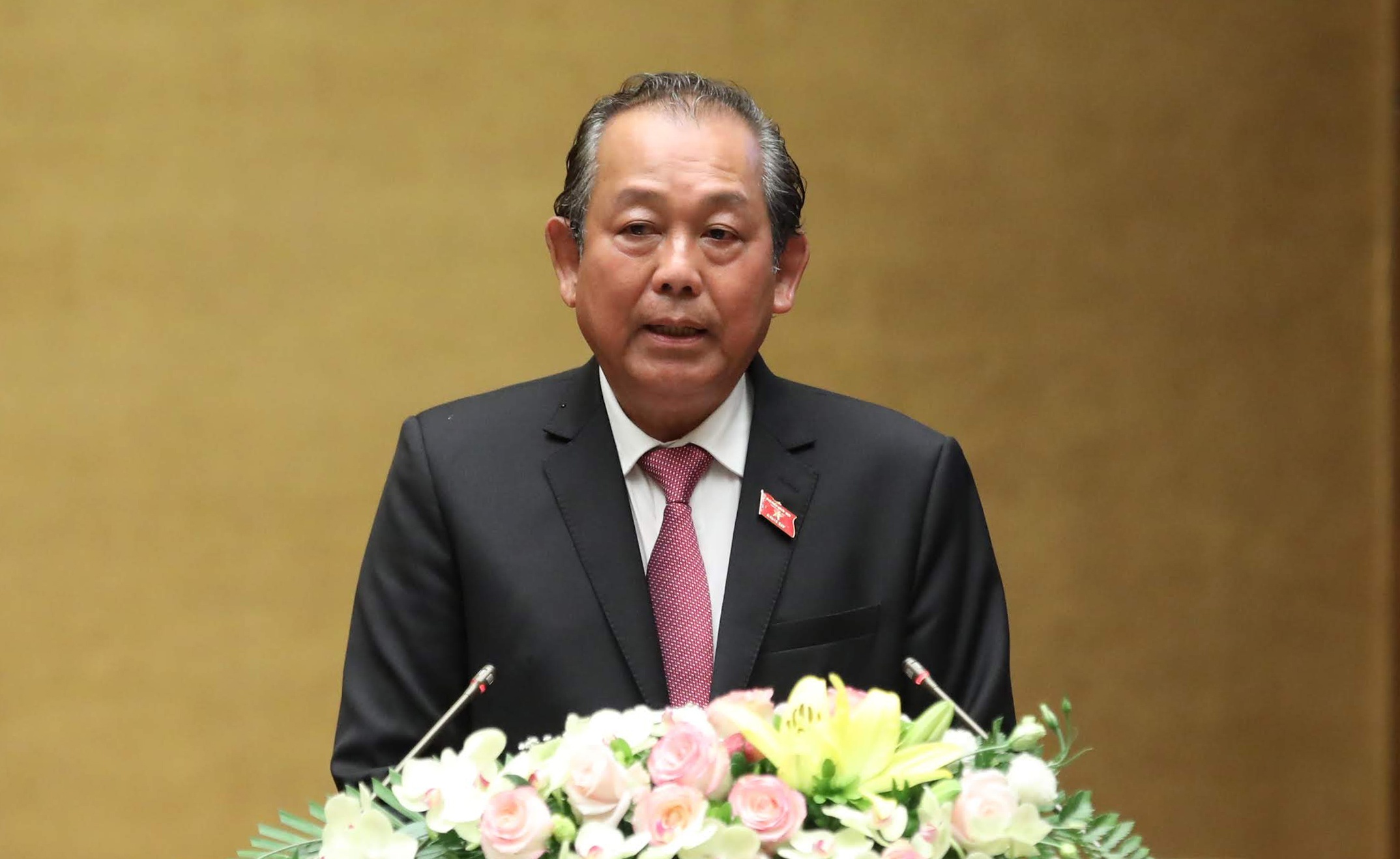 Tang cuong thanh tra quan ly dat dai, tai san cong hinh anh