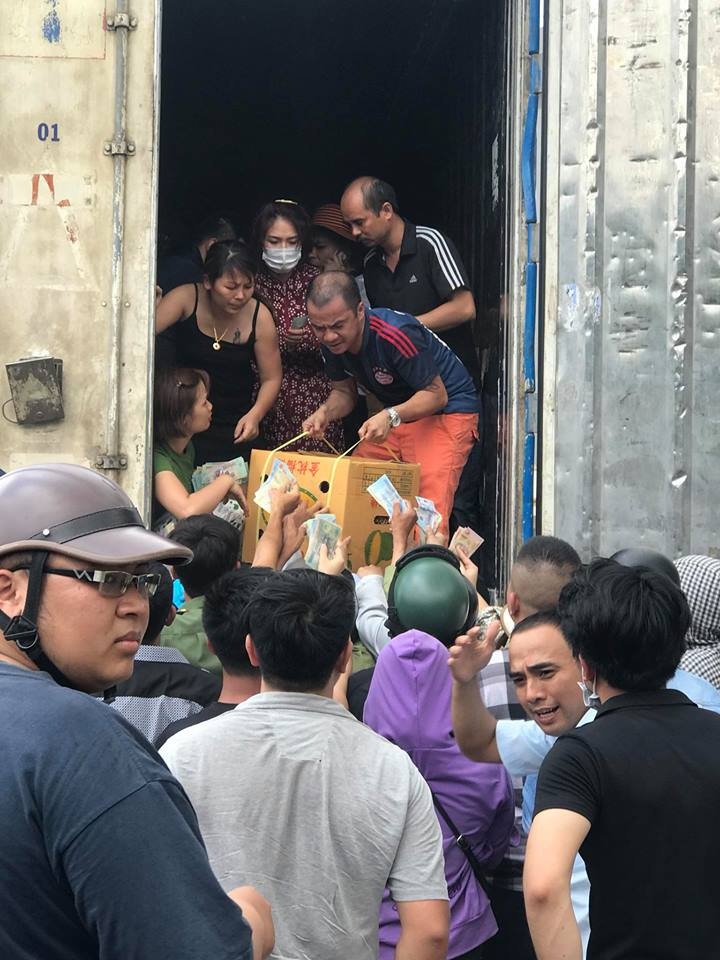 giai cuu sau rieng ha noi anh 2