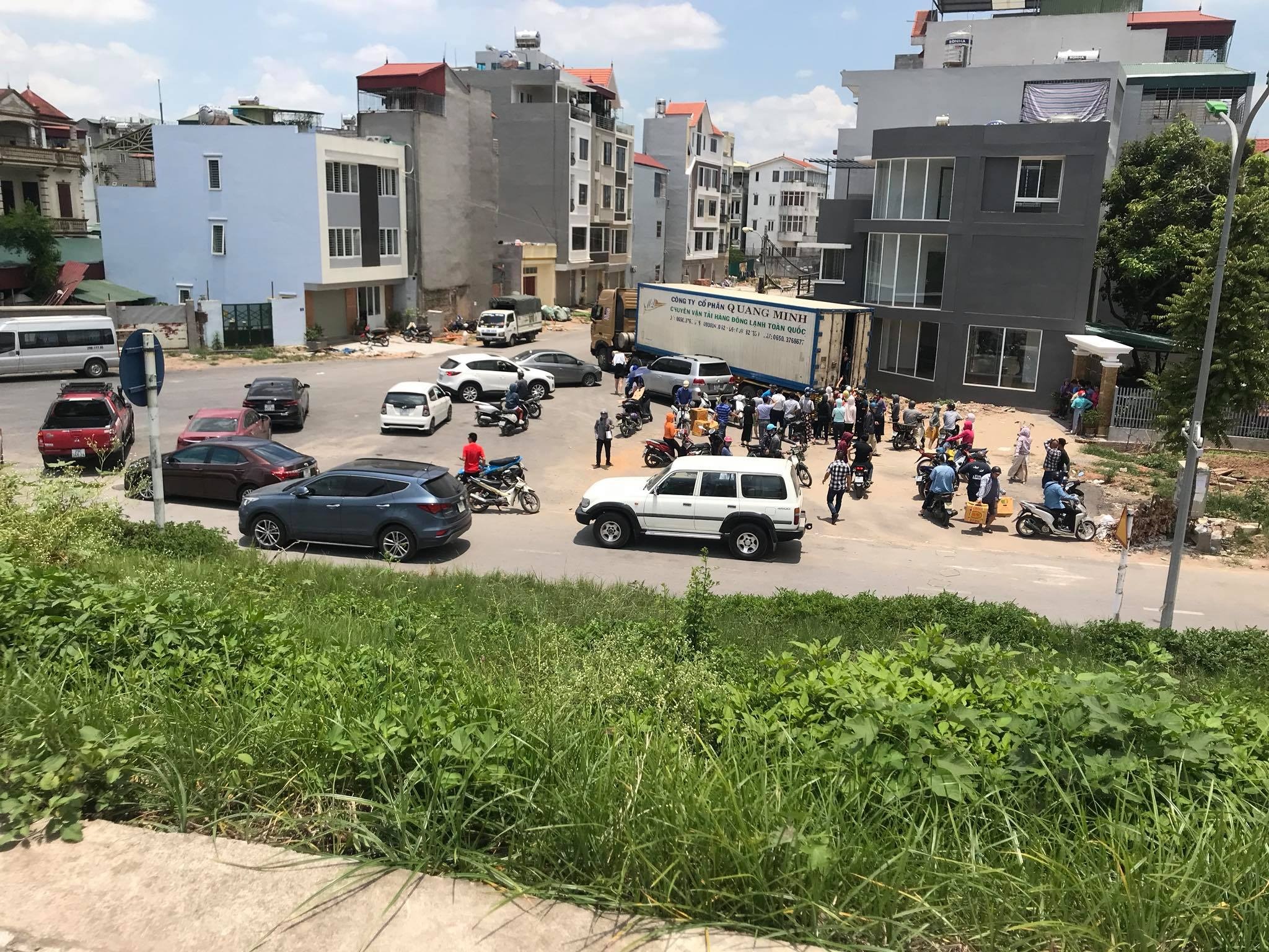 giai cuu sau rieng ha noi anh 1