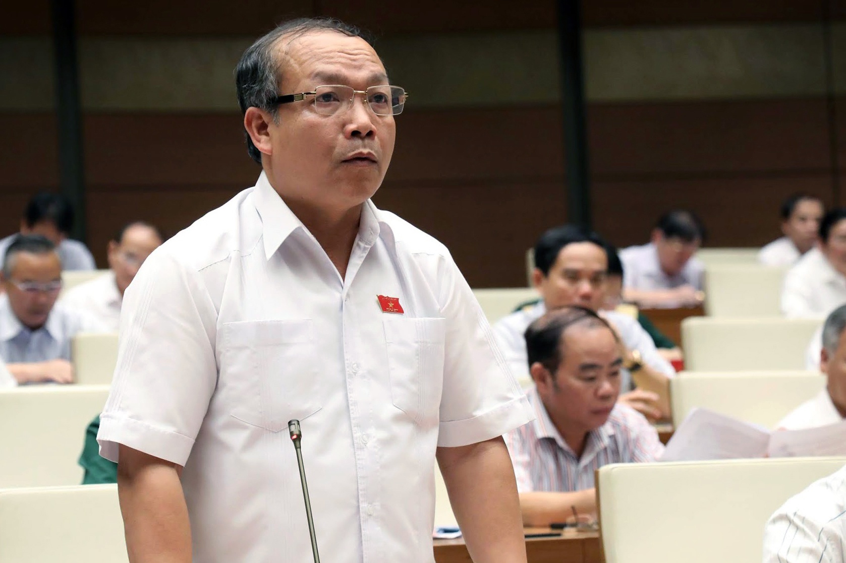 thau tom dat vang anh 1