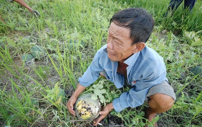 Bao dong do tinh trang giai cuu nong san hinh anh