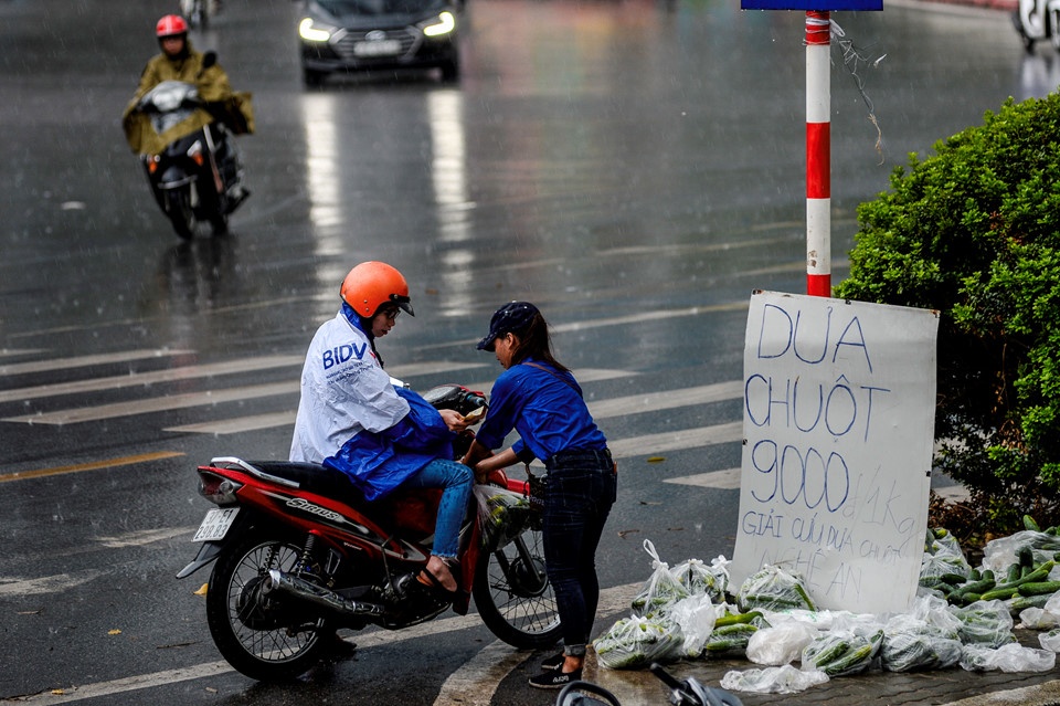 giai cuu nong san anh 2