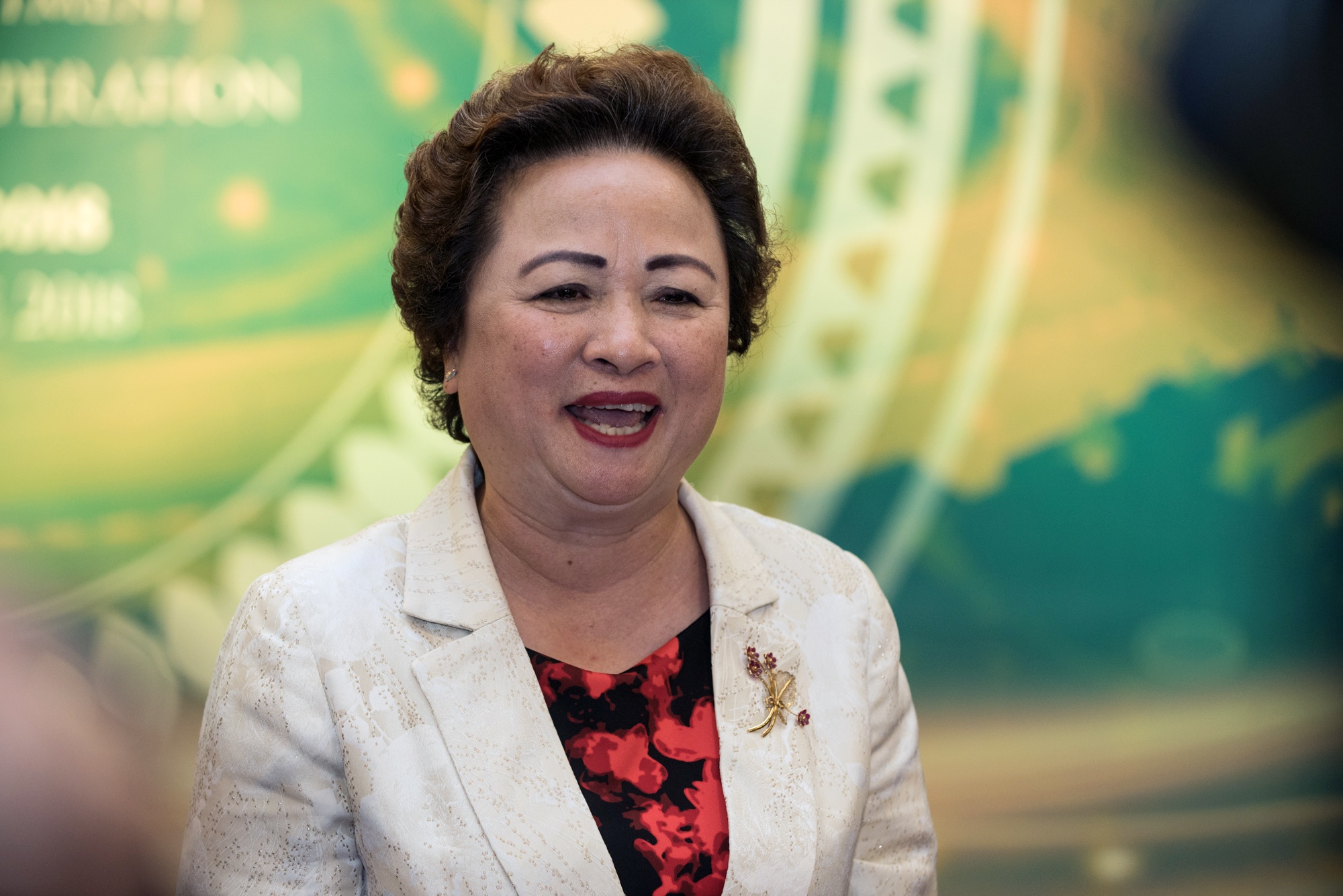 hoi nghi ha noi 2018 hop tac dau tu va phat trien anh 3