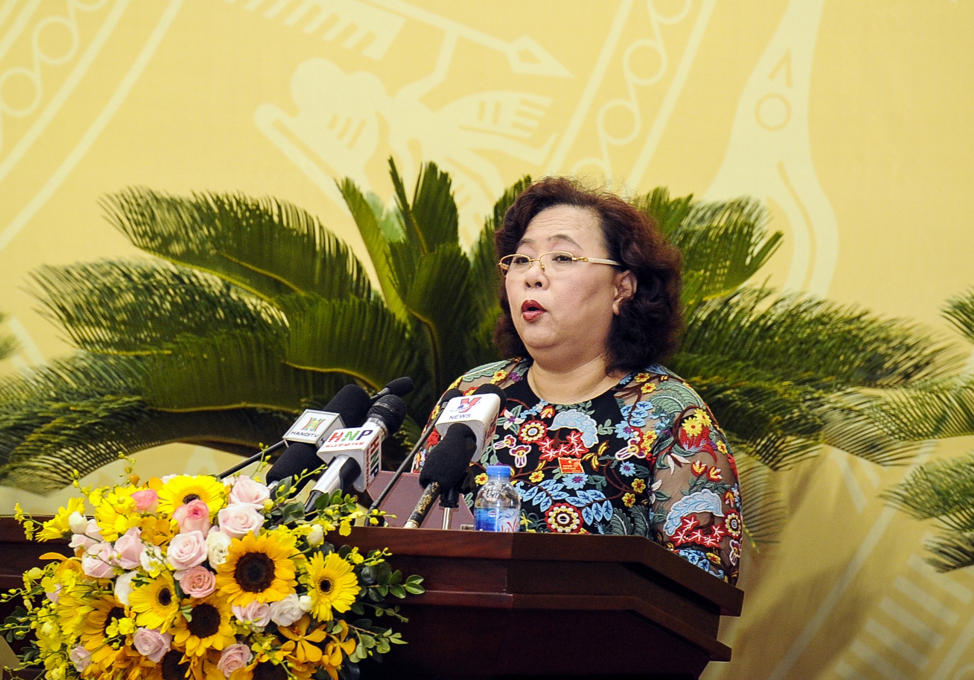 chat van hoi dong nhan dan ha noi anh 1