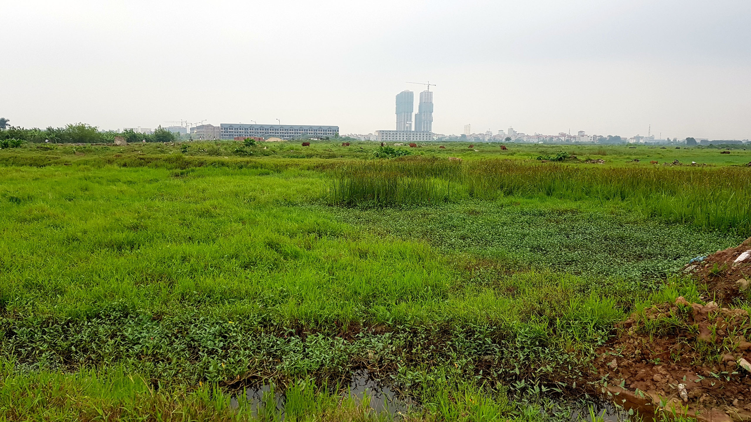 ha noi 10 nam mo rong anh 31