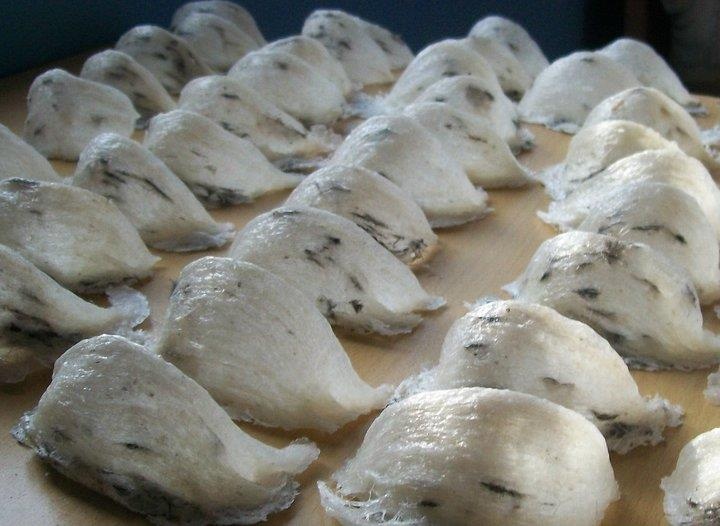 Mua yen sao Viet Nam, thuong lai Trung Quoc ban lai voi gia gap 10 lan hinh anh