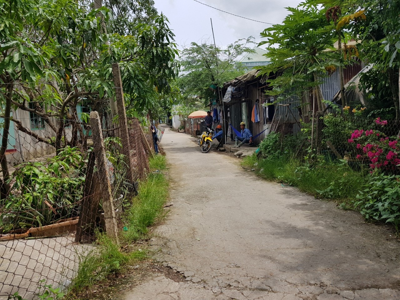 du an treo 120 ha tai Thanh My Loi anh 2