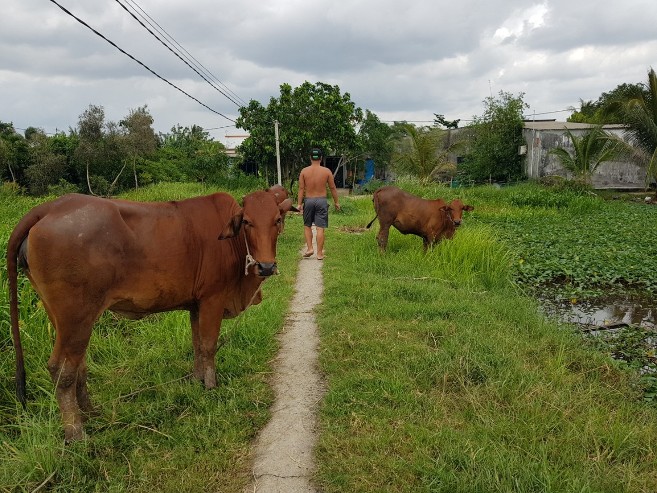 Ai dang co loi ich tai du an treo 14 nam o quan 2 Sai Gon? hinh anh