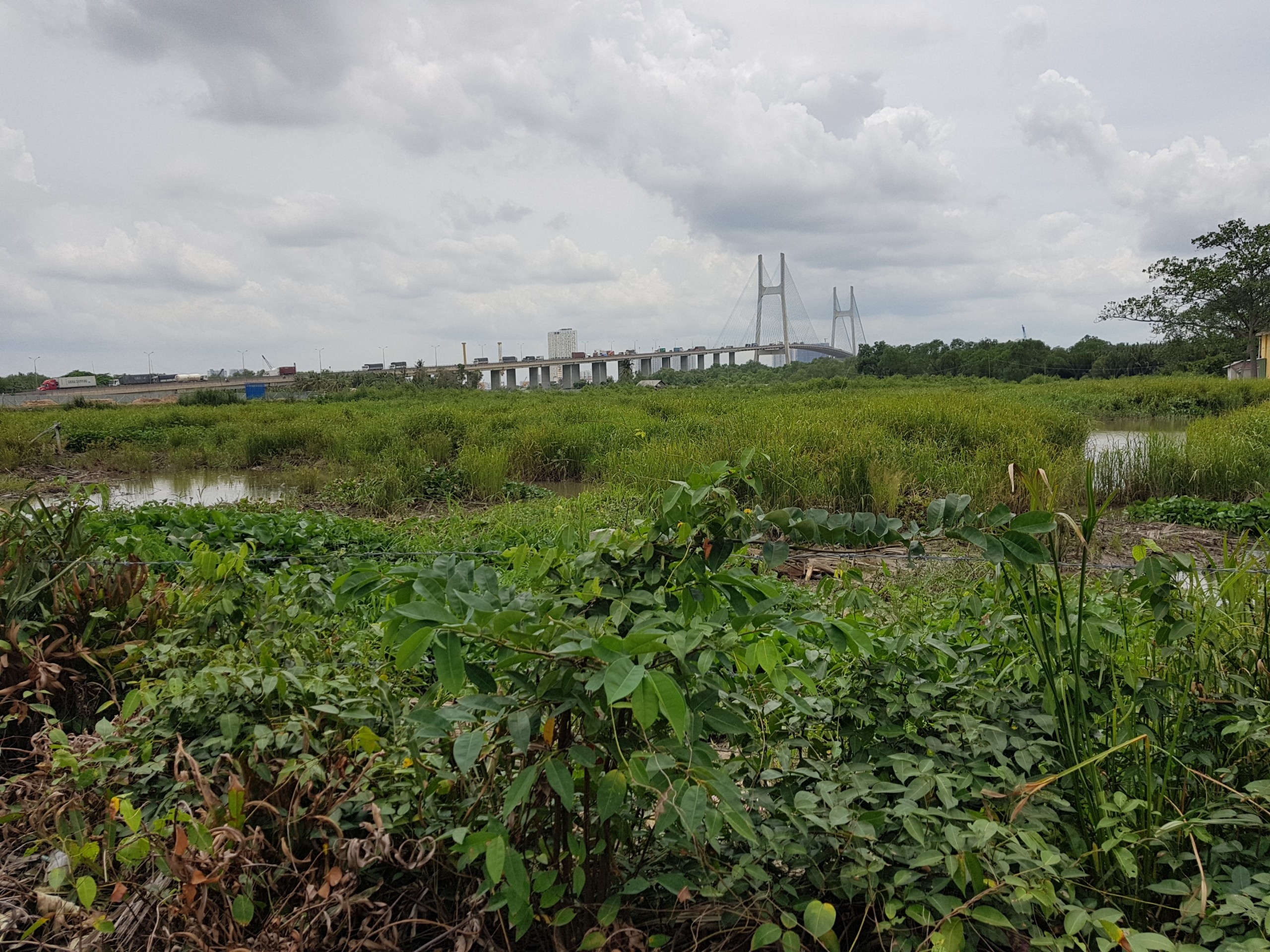 3 cau hoi sau loi keu cuu cua rapper Tien Dat anh 1