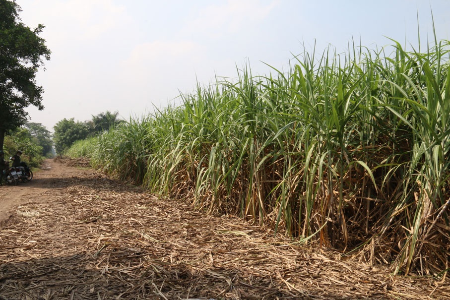 co che chinh sach xay dung nha gia re tai tp hcm anh 2