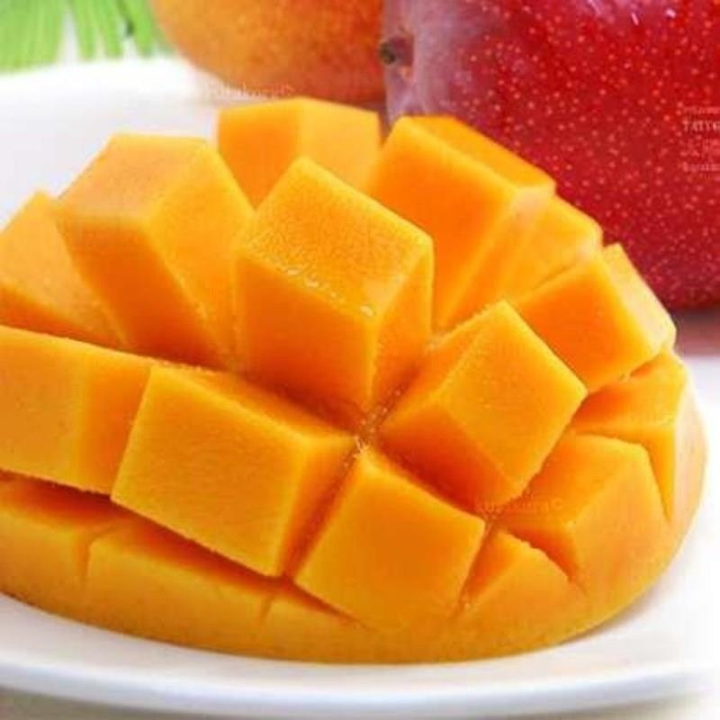 Giat minh voi xoai Nhat gia sieu dat 1,7 trieu dong/qua hinh anh