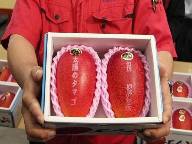 xoai Nhat gia sieu dat 1, 7 trieu dong/qua anh 1