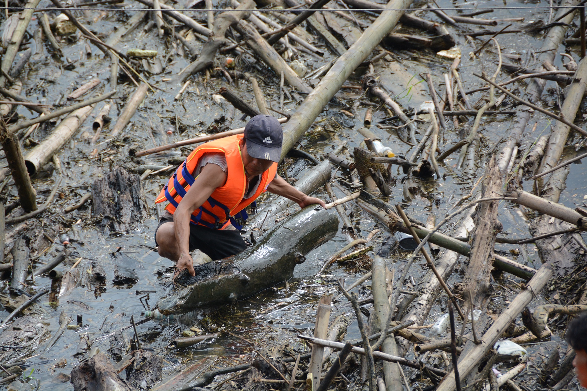 Lu lich su 50 nam dua hang nghin tan go ve ho thuy dien Ban Ve hinh anh