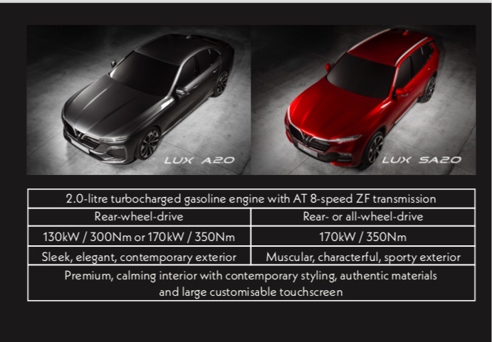 chien dich truyen thong dat do cua vinfast anh 4