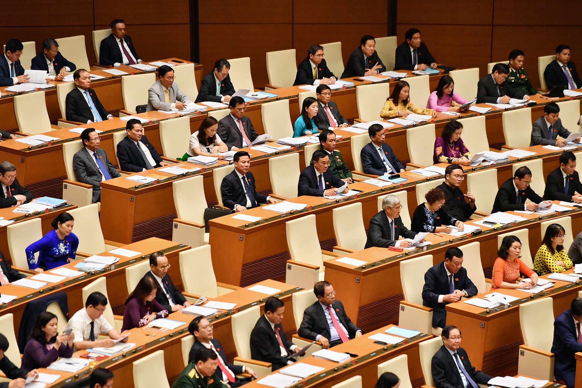 Viet Nam la nuoc thu 7 thong qua Hiep dinh CPTPP hinh anh