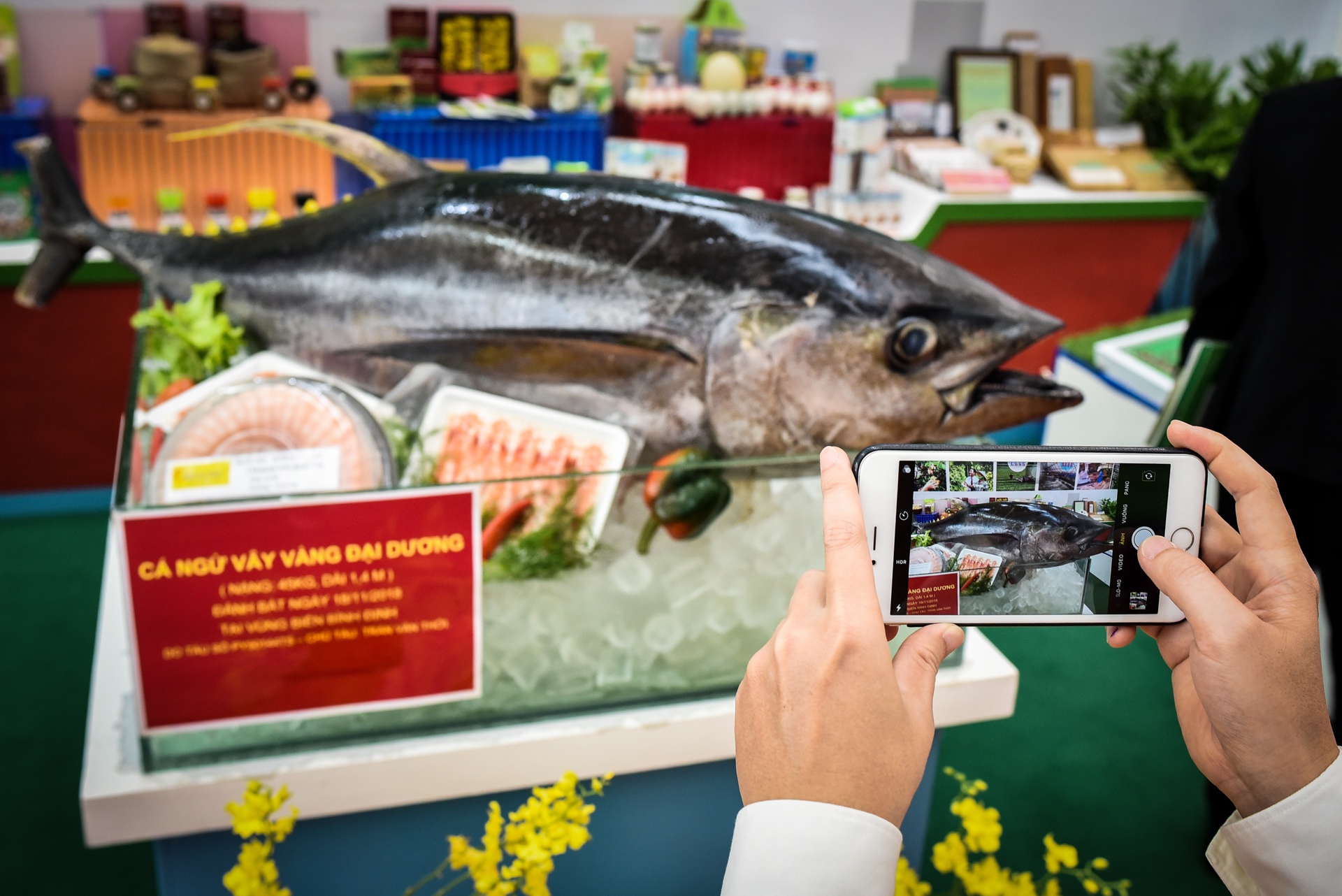 trien lam thanh tuu 10 nam tam nong anh 10